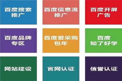 行业报告：专业SEM托管的成功实践与挑战